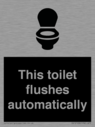 this-toilet-flushes-automatically~